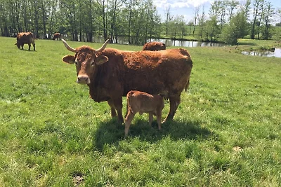 Apartament Dla rodzin Leutershausen