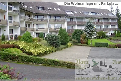 Fewo Eulennestchen-Harz S.1 für