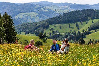 Ferienwohnung "zwischen drei Seen"