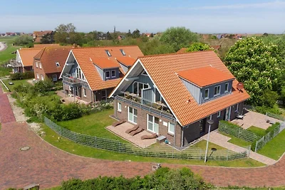Heringsmöwe, Haus an den