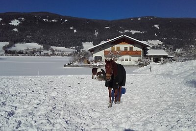 Vakantiehuis Ontspannende vakantie Radstadt