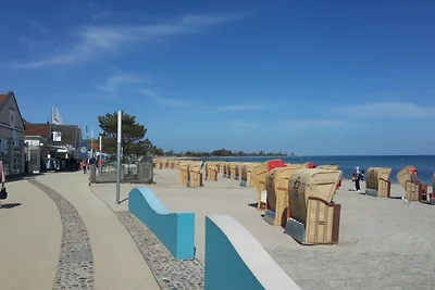 Ponykoppel (adult only bzw ab 16