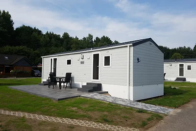 Accommodatie Vakantie op de boerderij Midlum