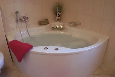 Holiday home relaxing holiday Baabe