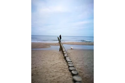 Lux Appartement Karina