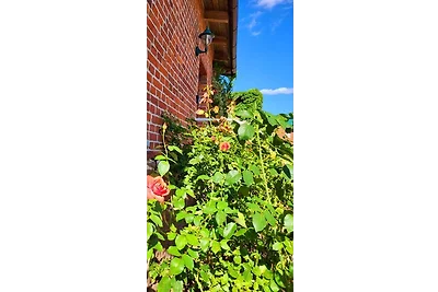 Ferienwohnung Hof Schacht