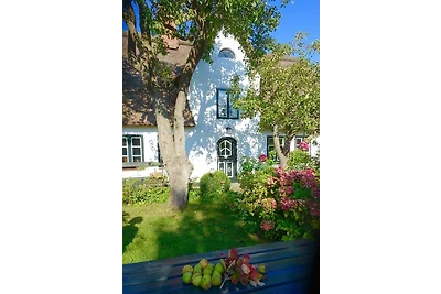 Casa vacanze Vacanza di relax Midlum