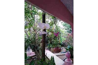 Casa Ana Lidia Appartement 2