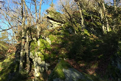 Ferienwohnung Geschwind