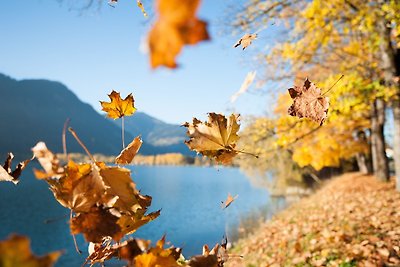 Appartamento Vacanza con famiglia Piesendorf