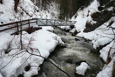 Vakantieappartement Gezinsvakantie Immenstadt