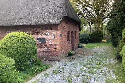 Ferienwohnung Austernfischer