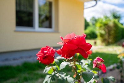 Vakantieappartement Gezinsvakantie Vipperow