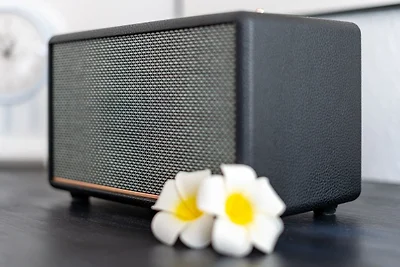 Fliedergang 10 Strandblume