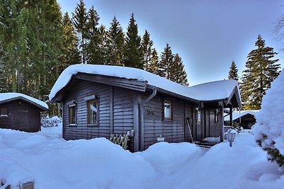 Waldsee Ferienhaus mit Kamin,W-Lan