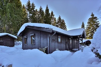 Vakantiehuis Ontspannende vakantie Clausthal-Zellerfeld