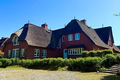 Vakantieappartement Gezinsvakantie Wrixum