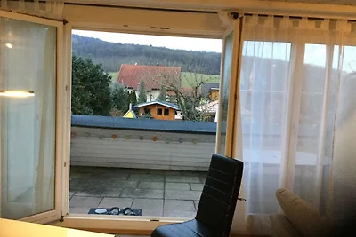 Vakantieappartement Gezinsvakantie Hilzingen
