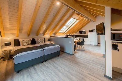 Premium-Wohnung Dach-Loft bei Fam.