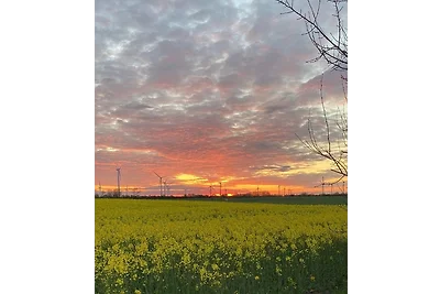 Gut Koselau Stellplatzwiese