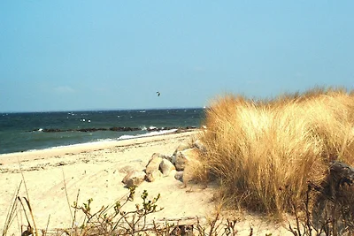 exclusives Hausboot "Tante Trost"