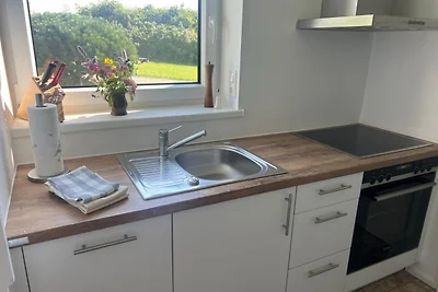 Uferschwalbe - Hohwacht