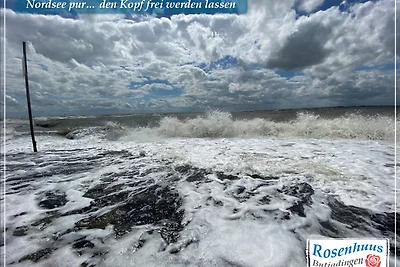 Nordseeurlaub im hochwertigen