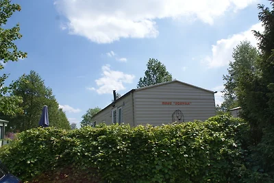 Accommodatie Vakantie op de boerderij Eggesin
