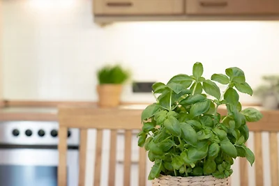 An der Aue 4a Albrecht