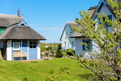 Ferienhaus Muschelsucher