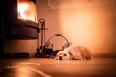 Casa vacanze Vacanza di relax Pinnow