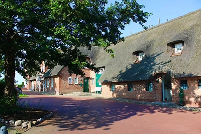 Appartamento Vacanza con famiglia Wrixum