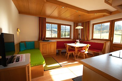 Vakantieappartement Gezinsvakantie Wildschönau