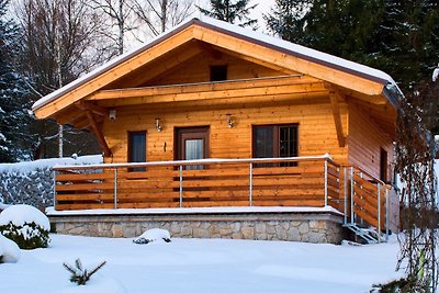 Modernes Holzferienhaus im Grünen