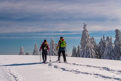 Kurhotel Schluchsee App. 23020