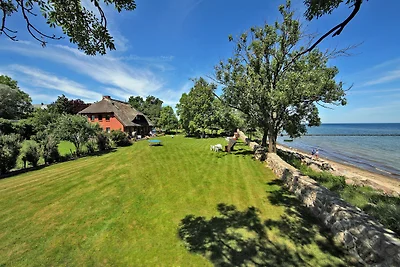 Ferienhaus "An der Steilküste"