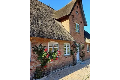 Appartamento Vacanza con famiglia Wrixum