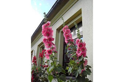 Ferienwohnung "Tier-Garten"