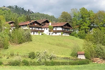 Appartamento Vacanza con famiglia Hauzenberg