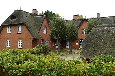 Haus Bornholm Whg 23