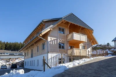 Ferienhaus Dresselbach - Wohnung 01