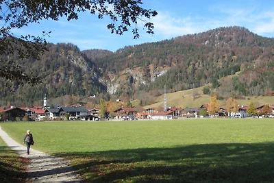 Alpendohle