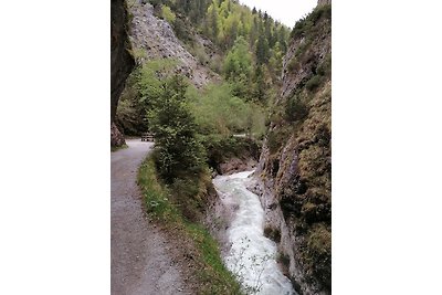 Vakantieappartement Gezinsvakantie Wildschönau