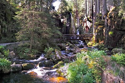 C3 Ferienwohnung im Schwarzwald