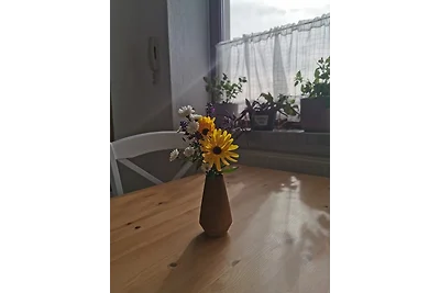 Vakantieappartement Gezinsvakantie Grünhainichen