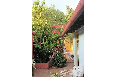 Appartamento Vacanza con famiglia Trinidad - Tobago