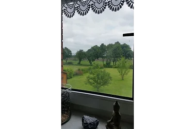 Ferienwohnung Wiesenblick