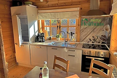 Ferienhaus "luettje Holthuus"