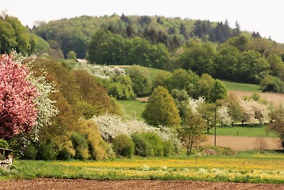Ferienwohnung Riedblick Süd-Ost