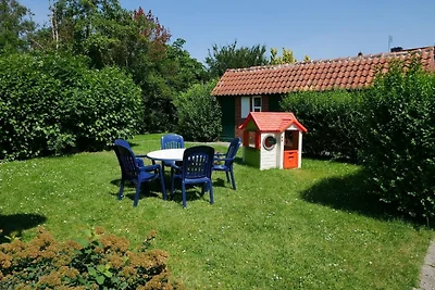 Apart Zwergmöwe im Möwennest